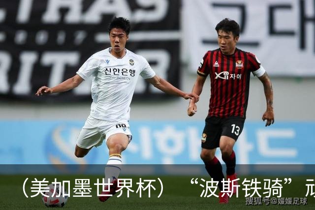 （美加墨世界杯）“波斯铁骑”顽强两连平 伊朗队期待更进一步